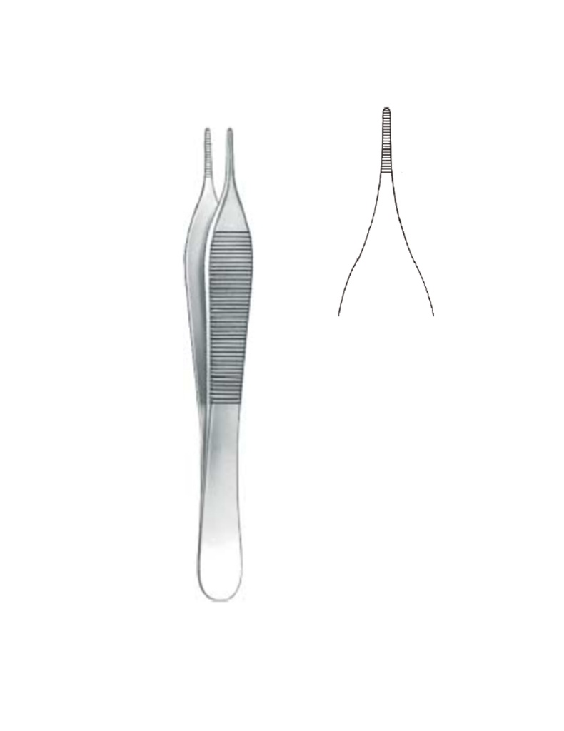 Adson Delicate Tissue Forceps 12 cm | AppleStar
